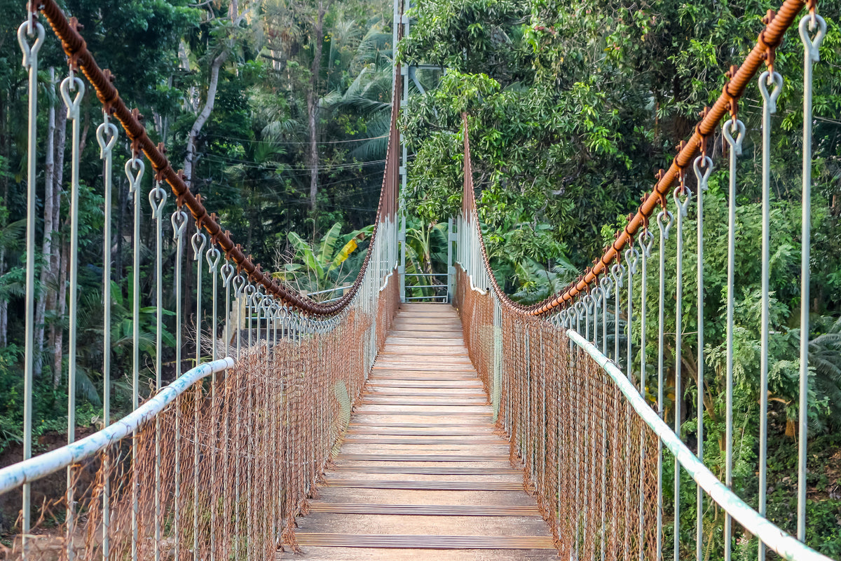 framedposter-print-bridge-for-the-brave
