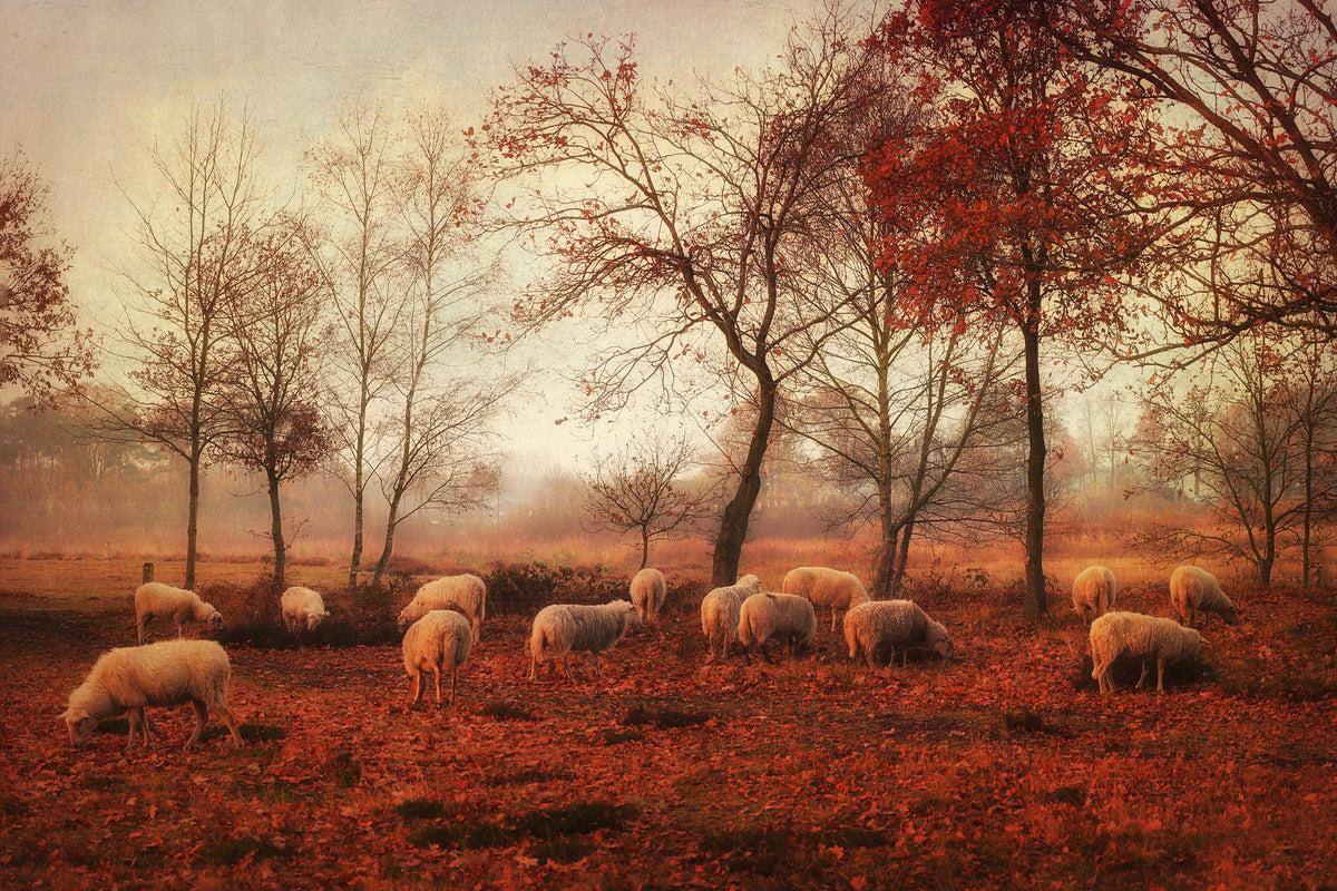 framedposter-print-last-days-of-autumn