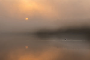 acrylic-print-autumn-fog-over-the-water
