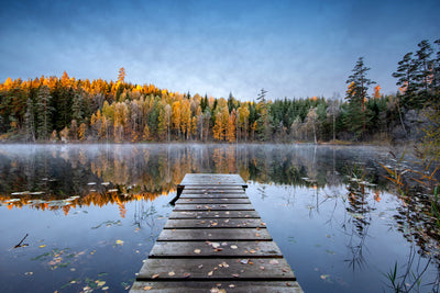 poster-print-autumn-pier-x