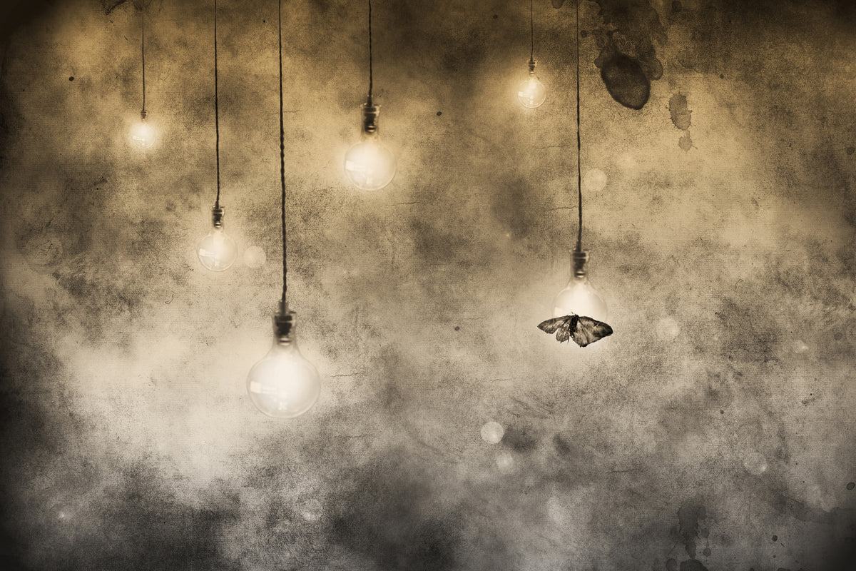 canvas-print-attraction