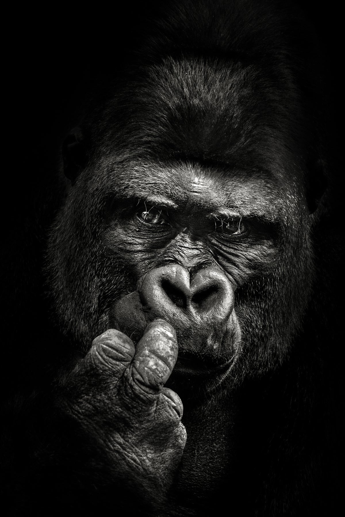 poster-print-attitude-x