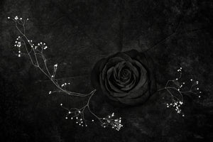 framedcanvas-print-rose-noire