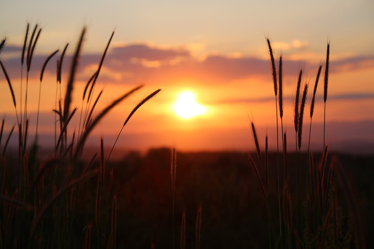 framedcanvas-print-adorable-sunset
