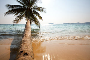 3-piece-canvas-print-palm