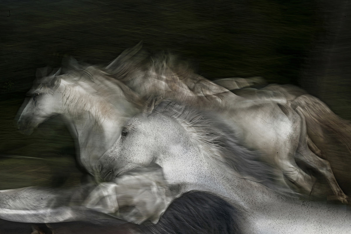 aluminium-print-into-the-dark