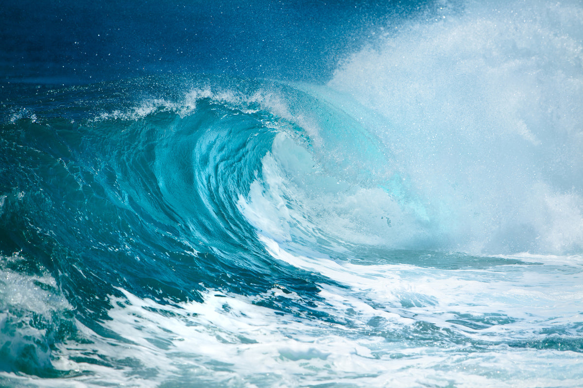 canvas-print-the-perfect-wave