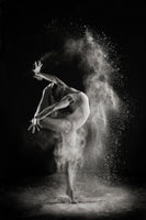aluminium-print-in-the-light