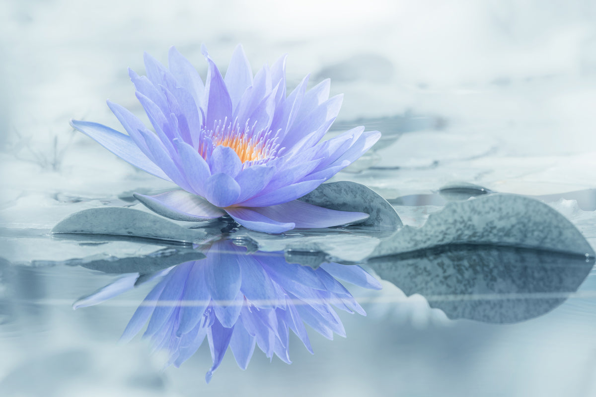 acrylic-print-reflection-xus