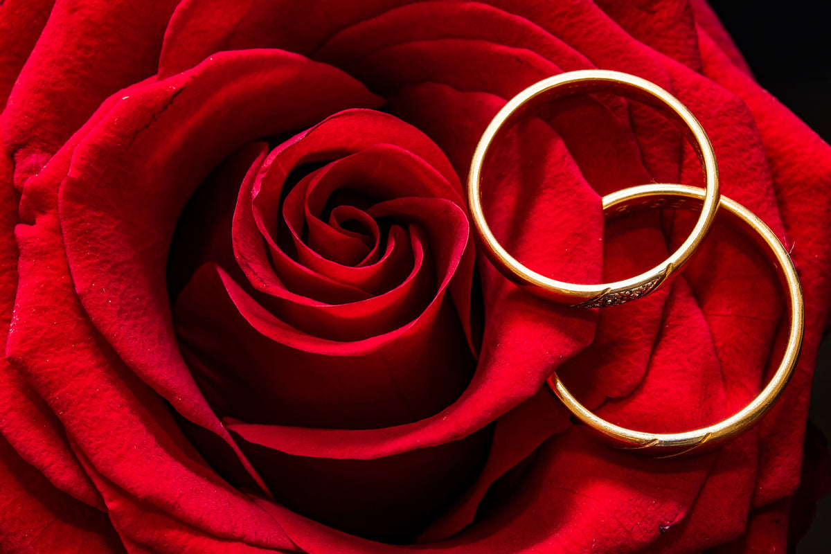 acrylic-print-wedding-rings-on-the-rose