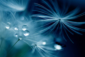 aluminium-print-soft-touch-x