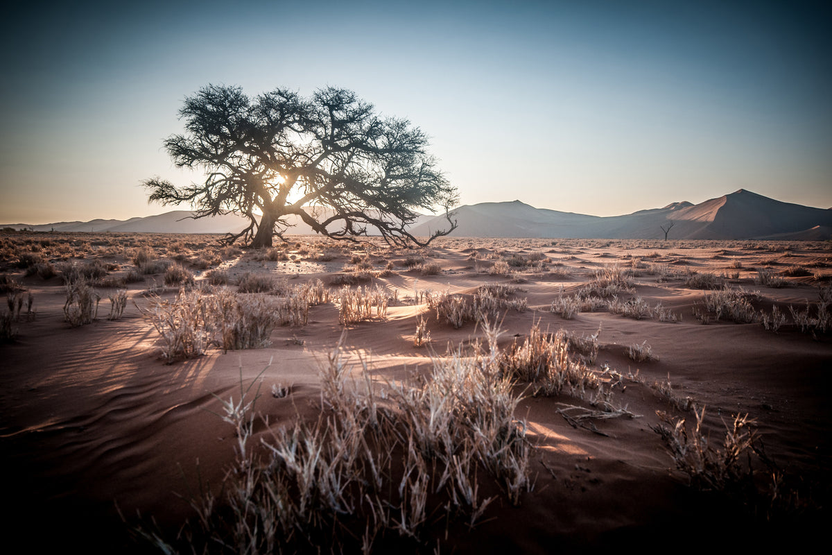 3-piece-canvas-print-longing-africa