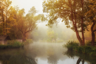 poster-print-foggy-autumn-x