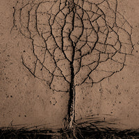 acrylic-print-asphalt-tree