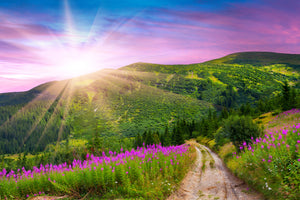 modern-3-piece-aluminium-print-a-summer-landscape-at-sunrise
