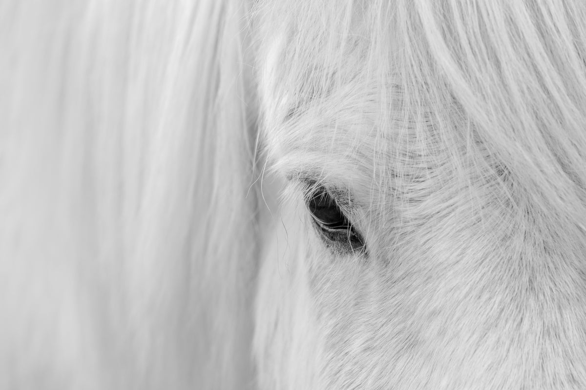 acrylic-print-whisper-of-iceland
