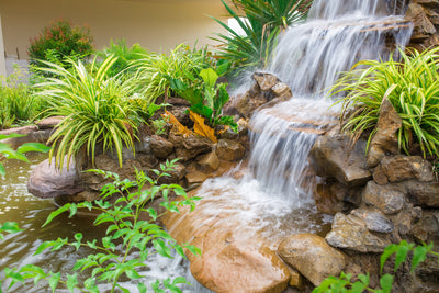 poster-print-garden-of-eden