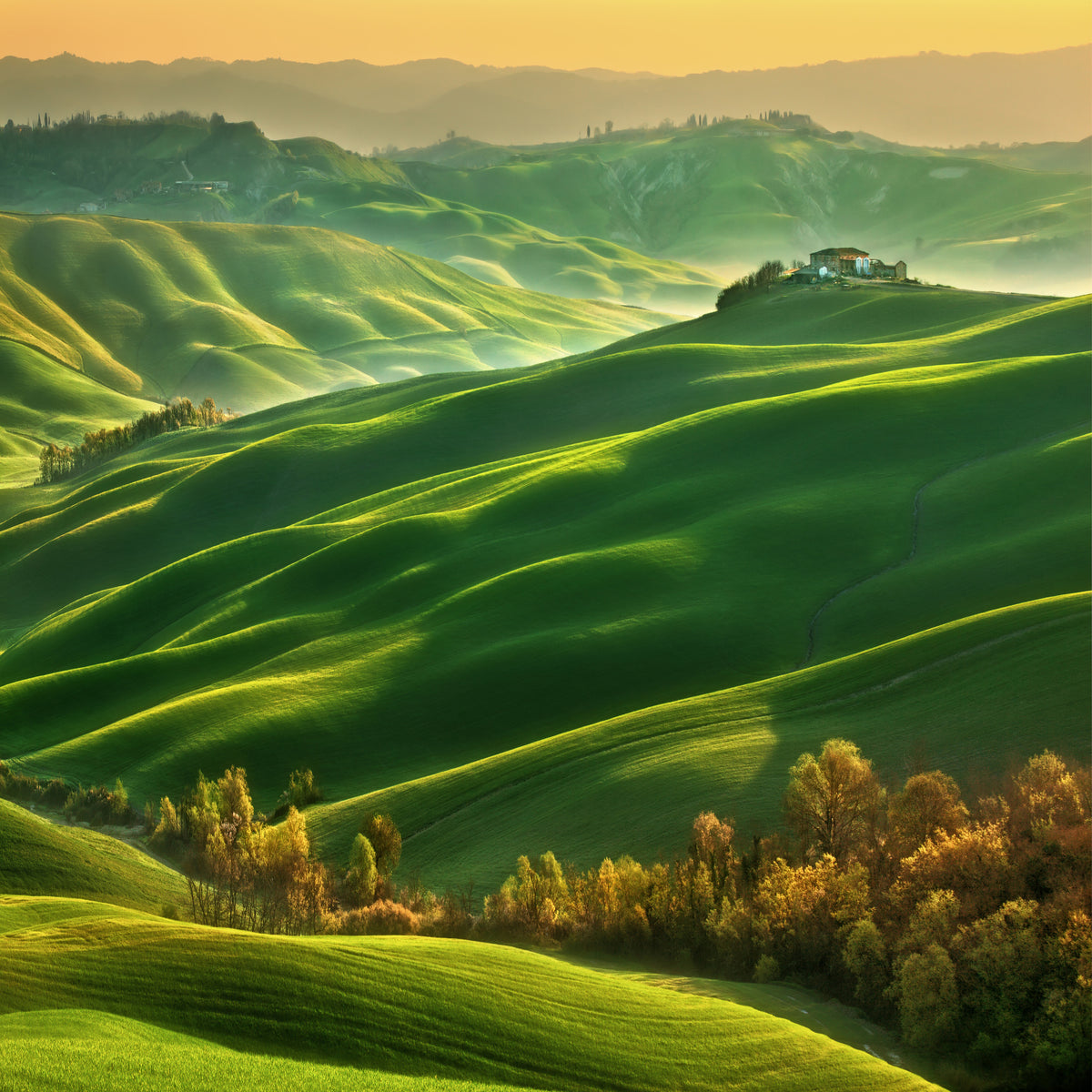 9-piece-canvas-print-mucigliani