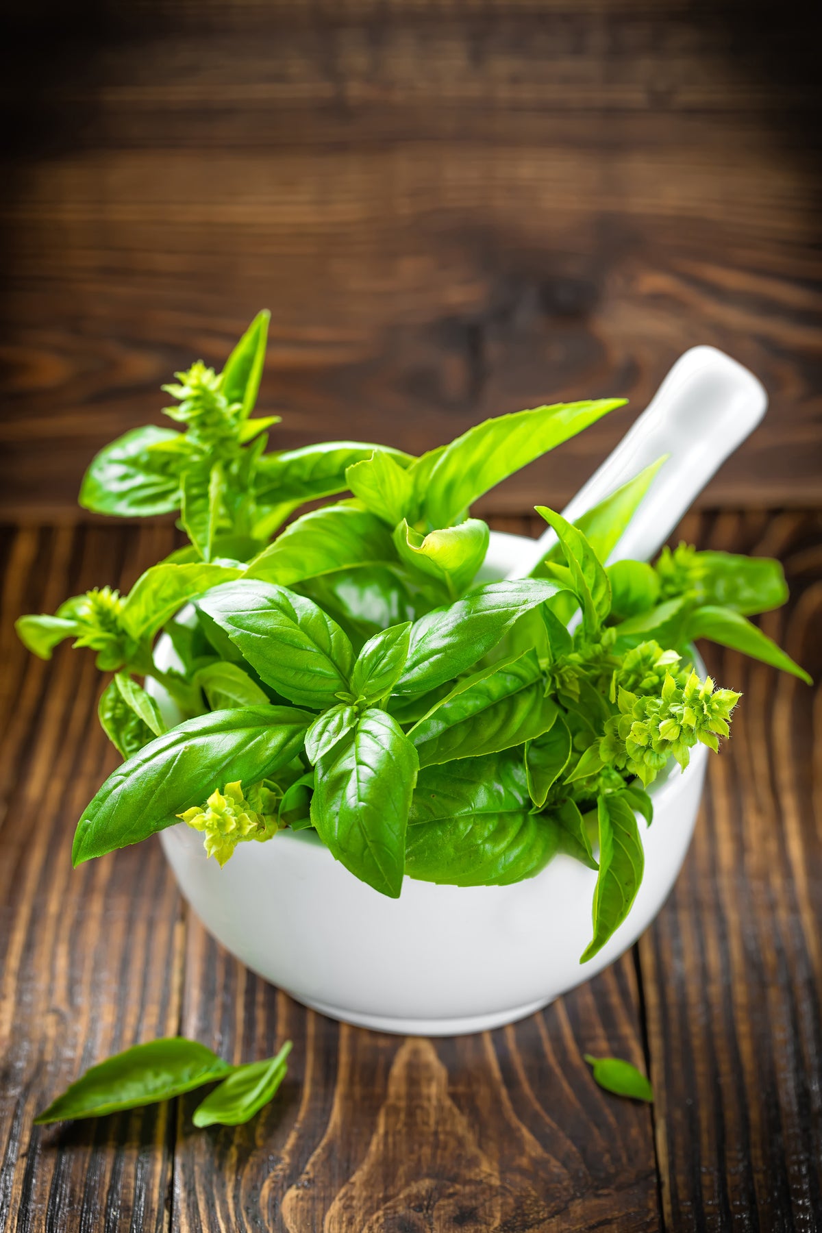 poster-print-fresh-basil