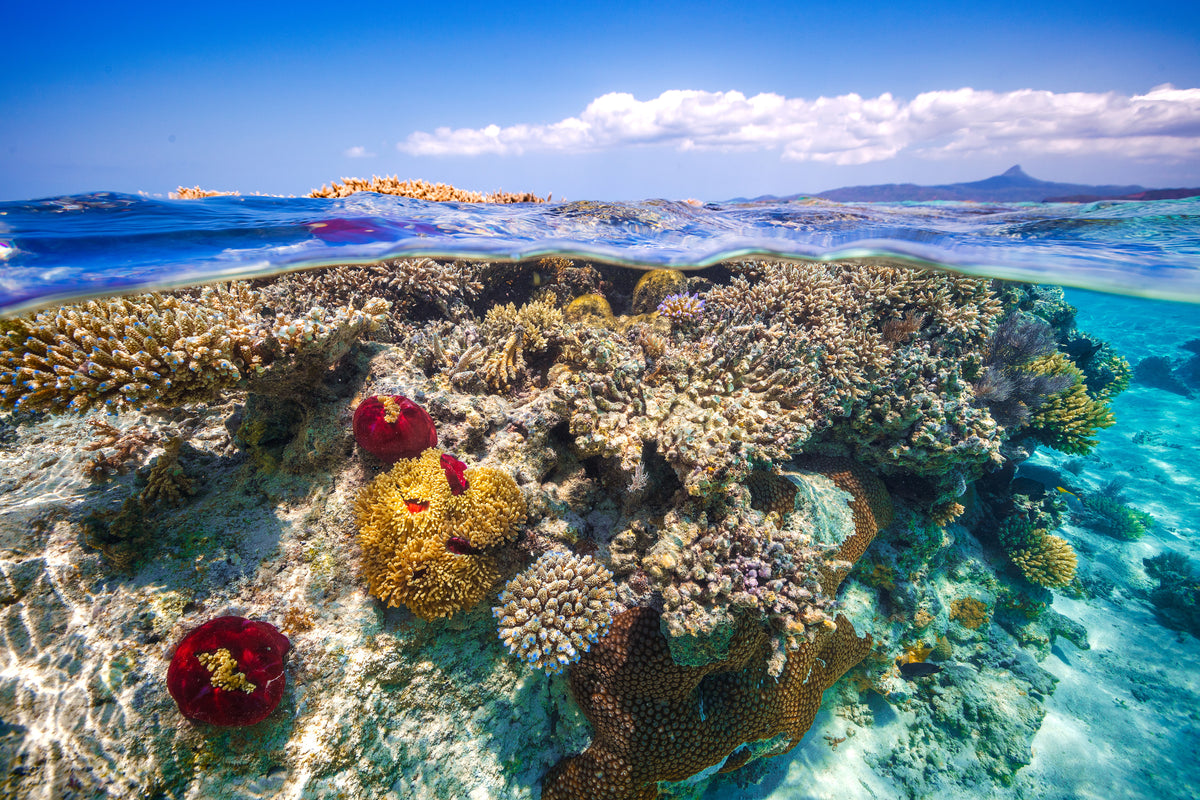 3-piece-acrylic-print-mayotte-the-reef
