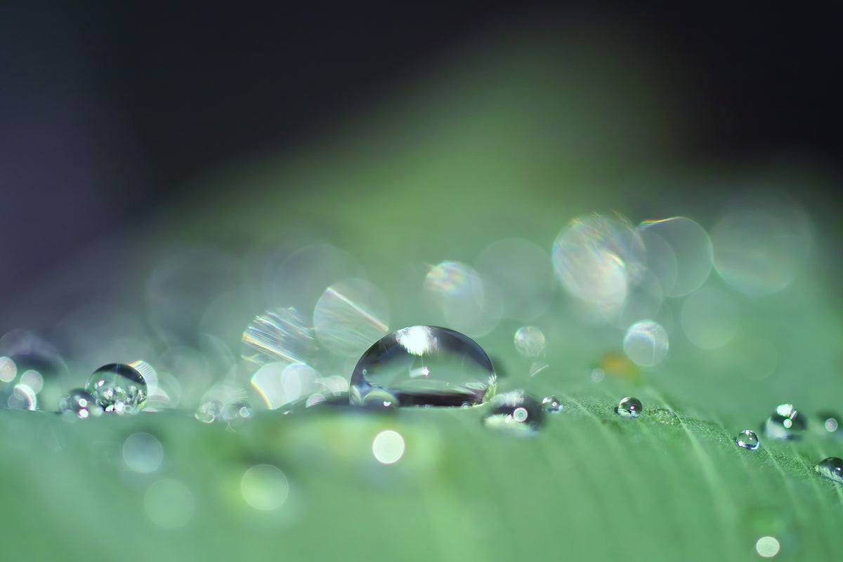 canvas-print-drops-of-water-in-xxl