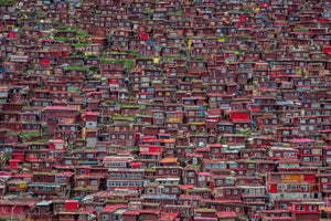 3-piece-acrylic-print-larung-gar