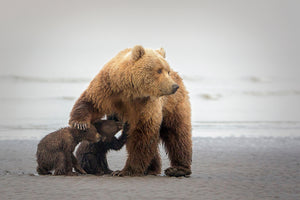 aluminium-print-family-time