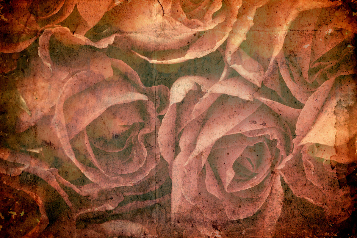 framedposter-print-rose-bouquet
