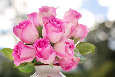 poster-print-bouquet-of-roses-in-pink
