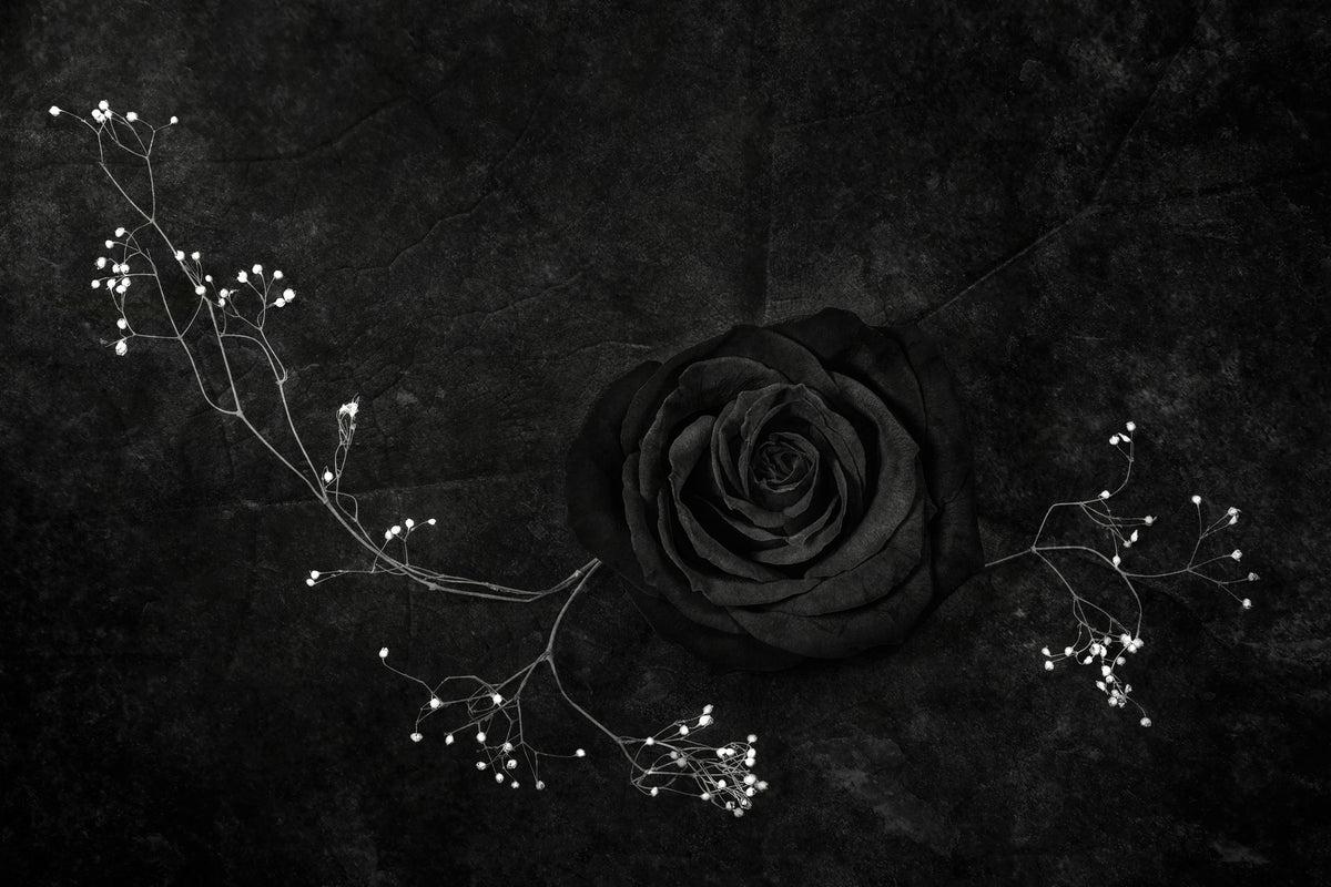 acrylic-print-rose-noire