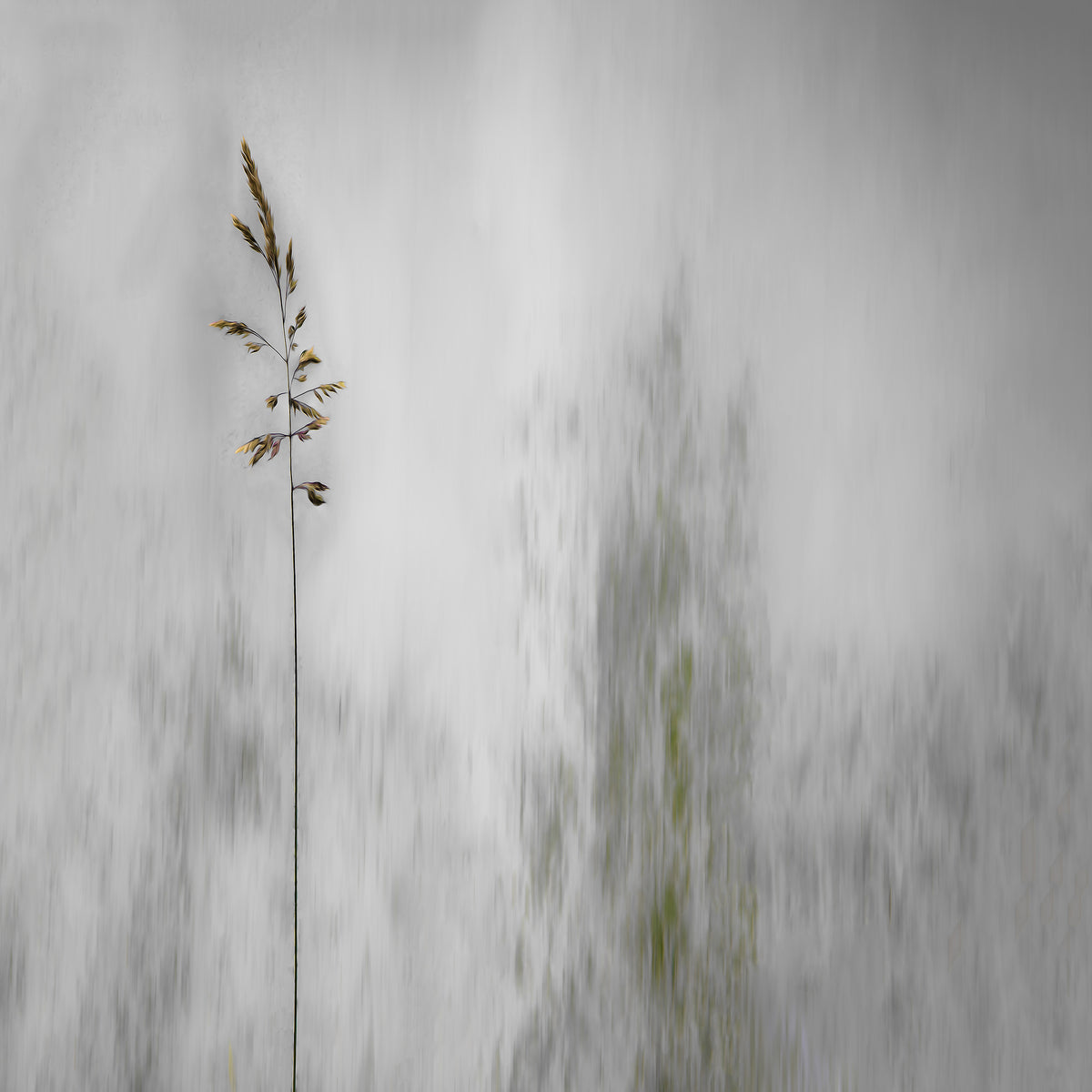 9-piece-canvas-print-blade-of-grass