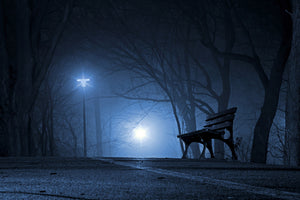 framedcanvas-print-at-night-in-the-park