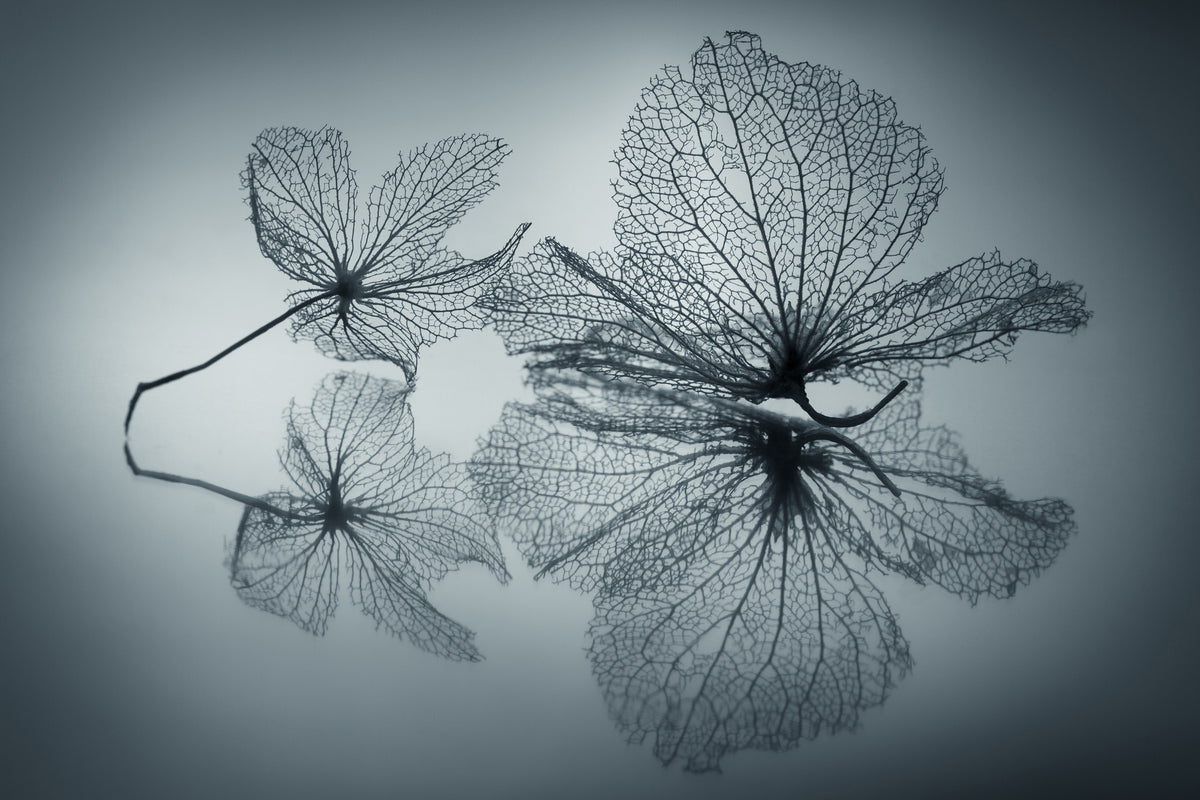 modern-3-piece-aluminium-print-ephemeral-beauty