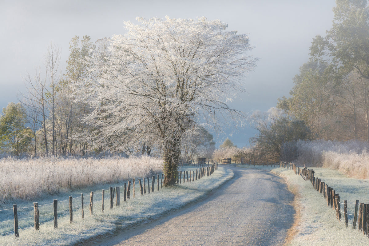 3-piece-acrylic-print-a-frosty-morning