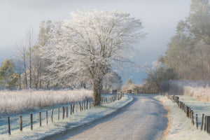3-piece-canvas-print-a-frosty-morning