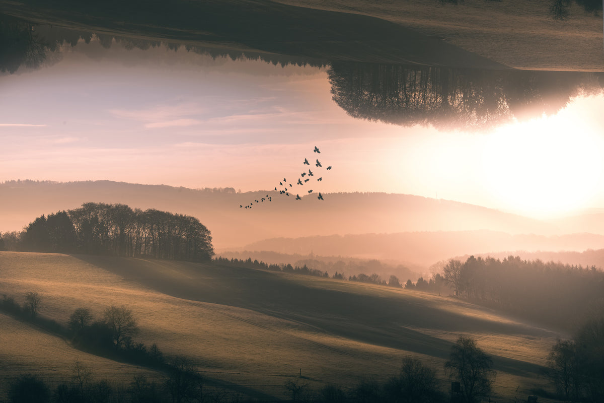 canvas-print-interplanar