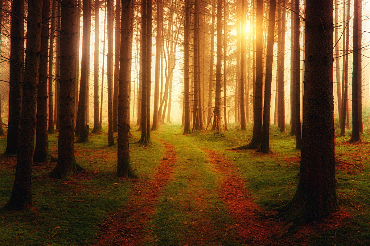aluminium-print-the-unknown-way