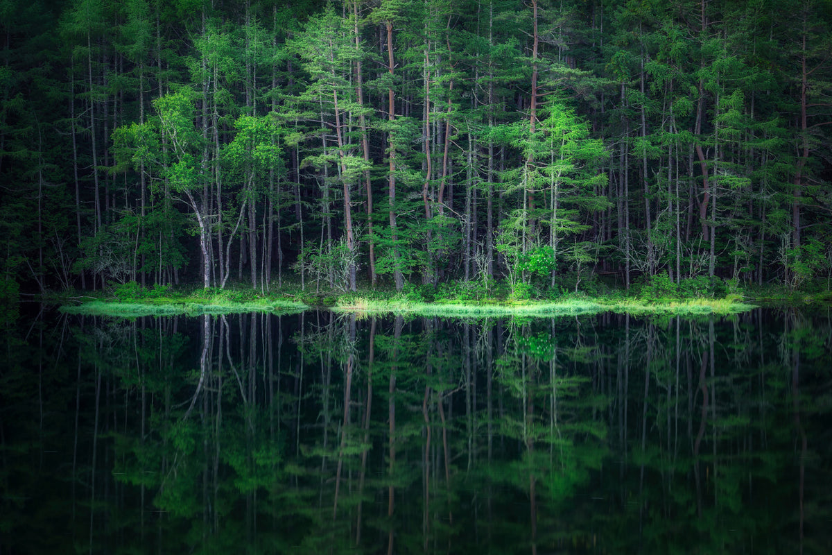 poster-print-green-world-x