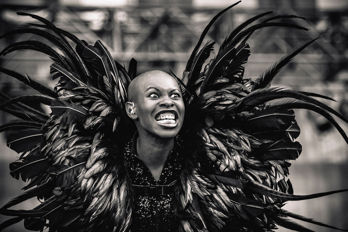 3-piece-acrylic-print-skunk-anansie