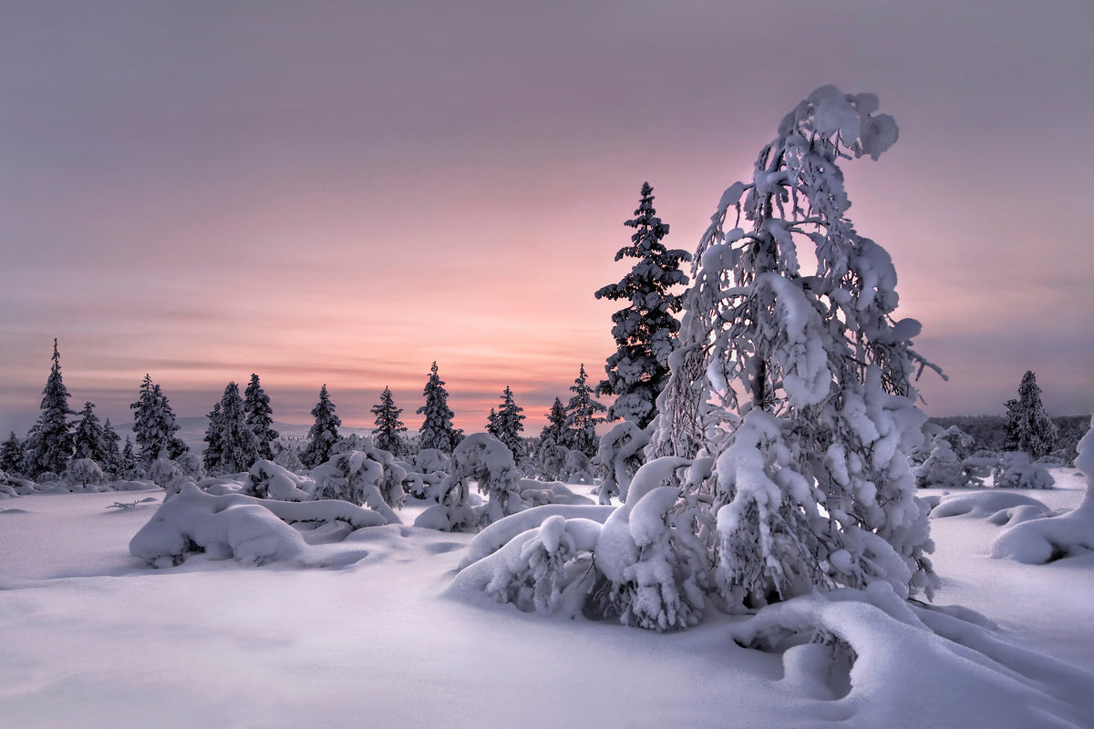 canvas-print-lappland-winterwonderland-x