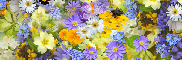 panoramic-3-piece-acrylic-print-fresh-spring-flowers-panorama