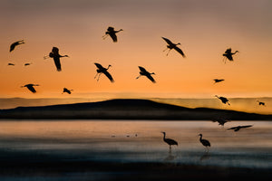 modern-3-piece-canvas-print-fly-in-at-sunset