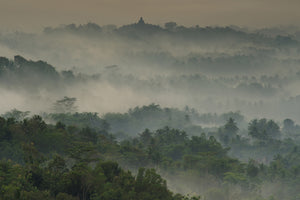 modern-3-piece-aluminium-print-temple-in-the-mist
