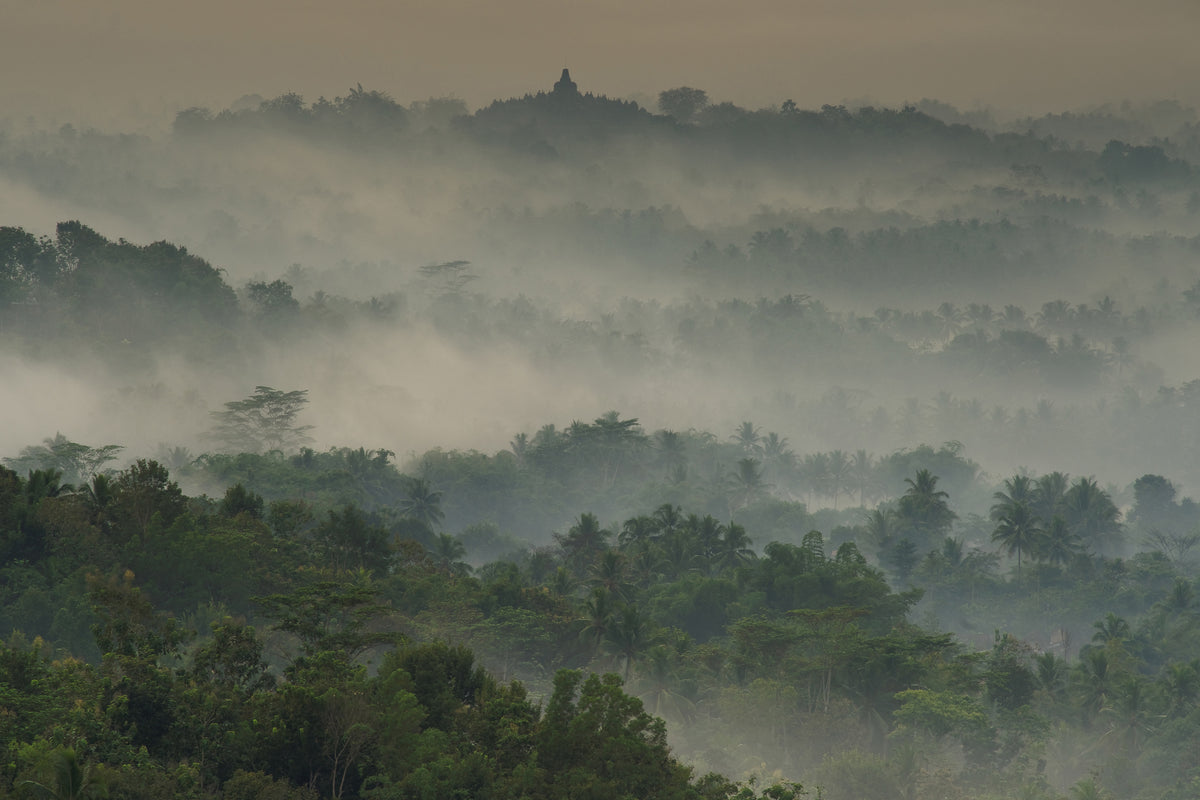 modern-3-piece-aluminium-print-temple-in-the-mist