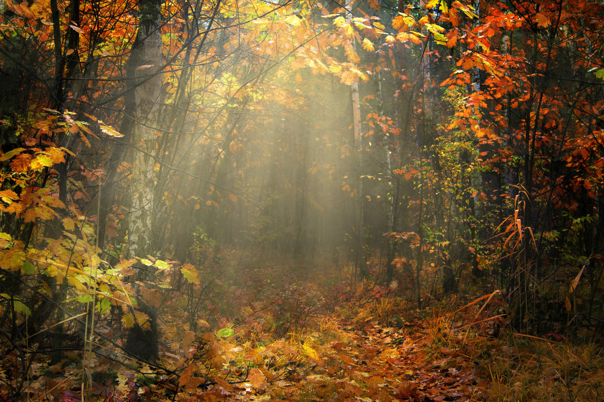 canvas-print-we-love-autumn