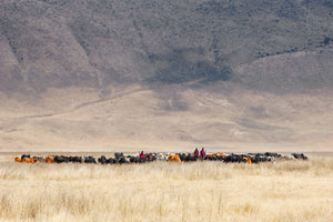 framedposter-print-incredible-maasai