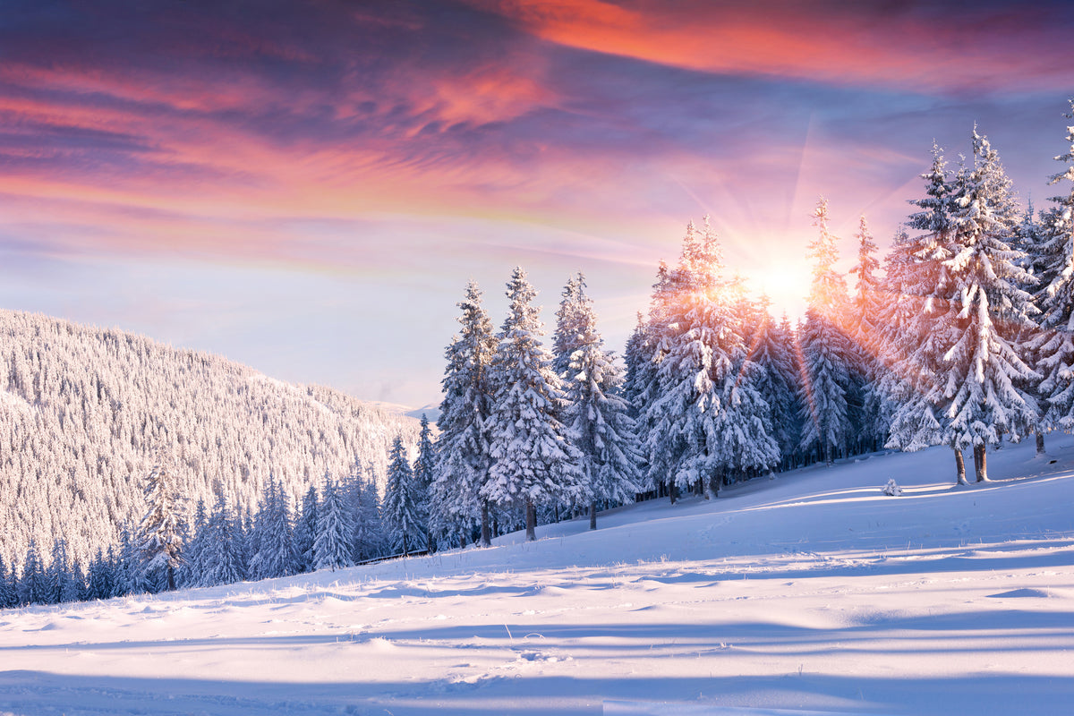 3-piece-acrylic-print-winter-landscape
