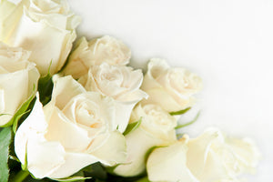 aluminium-print-white-roses