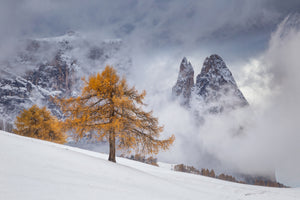 acrylic-print-between-seasons-x