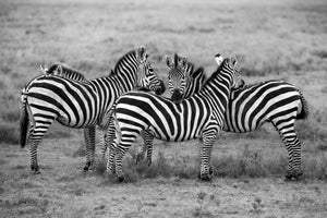 framedcanvas-print-stripes-xoh